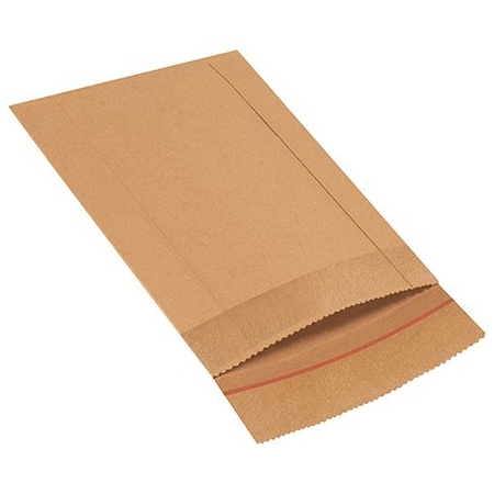 Bsc Preferred 8-1/2 x 10-1/2'' #2 Jiffy Rigi Bag Mailers, 250PK BUY00027709